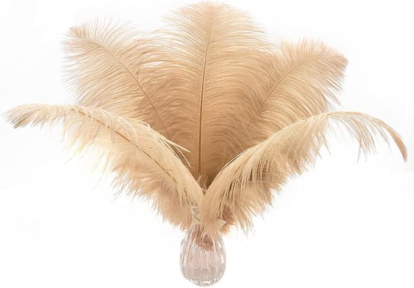 24 st Naturvita Vita Strutspennor 10-12 tum (25-30 cm) för Bröllop