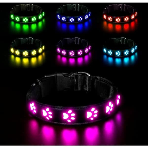 LED Lysande Hundhalsband, Uppladdningsbart och Vattentätt Hundhalsband, Justerbart Halsband med 7 Ljuslägen (Färgglatt-M)