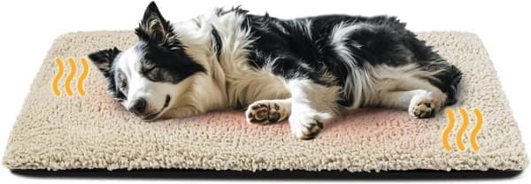 Self-Heating Cat Bed / Dog Bed 40/50/60cm – Heating Mat with Thermal Foil, Removable and Non-Slip Bottom