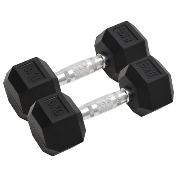 vidaXL Hantlar 2 st 8 kg totalt gjutjärn