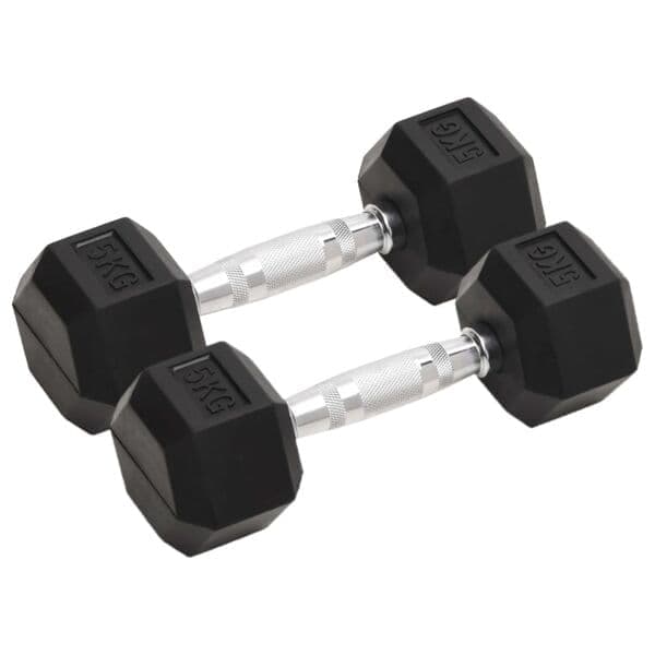 vidaXL Hantlar 2 st 5 kg totalt gjutjärn