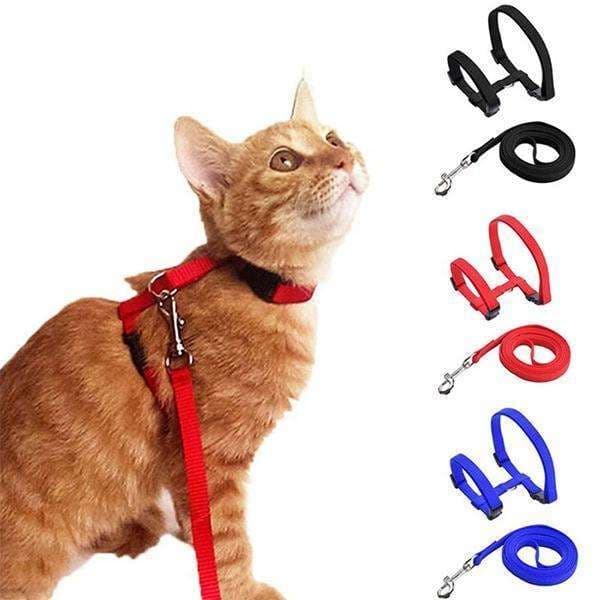 Kattsele som är enkelt och justerbart