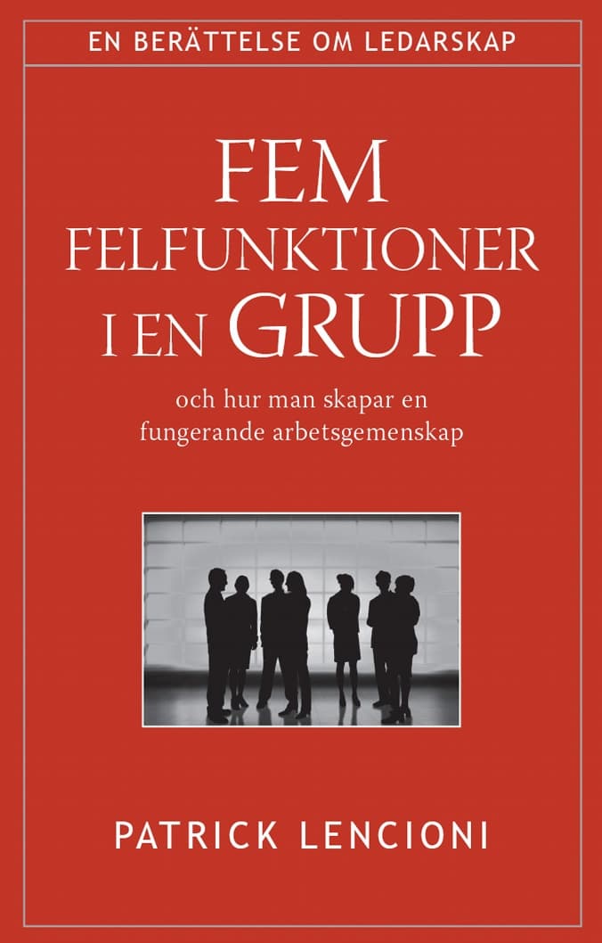Fem felfunktioner i en grupp 9789179995072