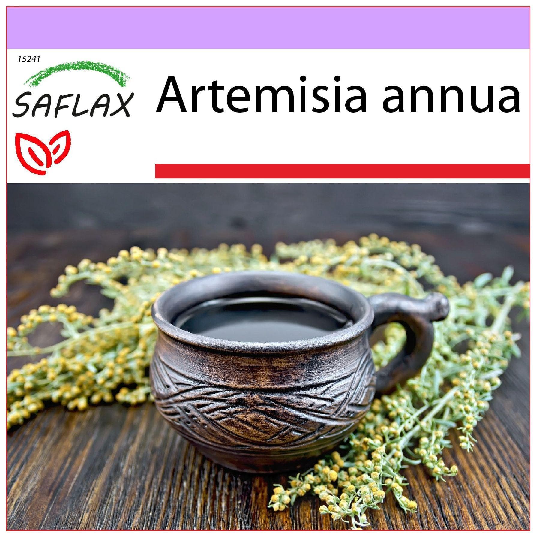 SAFLAX - Söt Malört Qing Hao - 250 frön - Artemisia annua