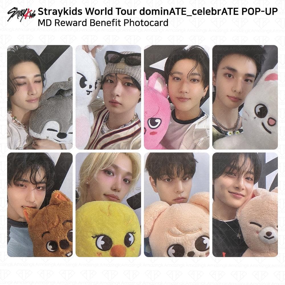 Stray Kids Världsturné DominATE CelebrATE POP-UP MD Belöningsförmån Fotokort KPOP