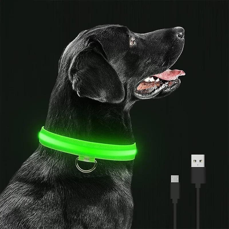 LED-glödande hundhalsband Uppladdningsbart vattentätt lysande halsband Justerbart hundnattljushalsband Säkerhetshalsband för hundar