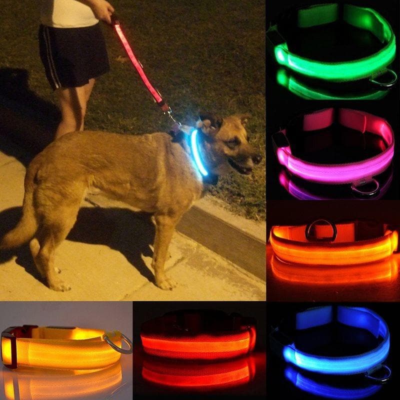LED Nylon Djurhalsband för katt och hund Nattsäkerhetsljus Blinkande Glow In The Dark Elektrisk
