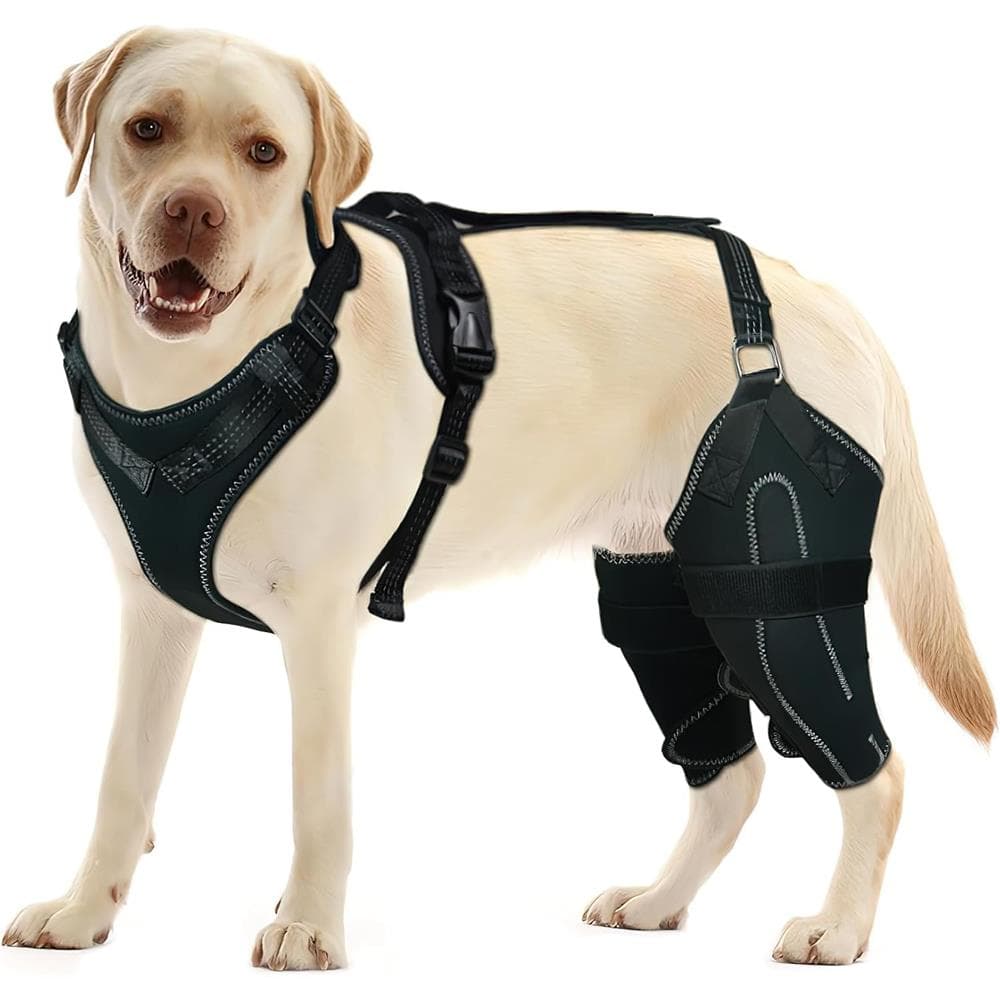 Hund ACL Knästöd, Hjälpfäste för benruptur, Ledsmärtlindring svart