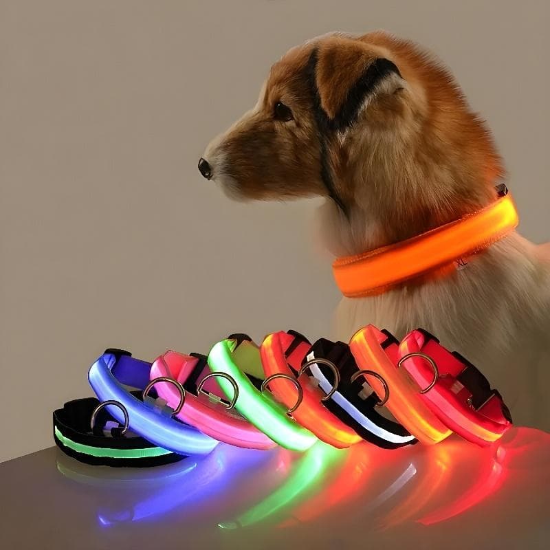 Hundhalsband Nylon LED Nattsäkerhet Blinkande Glow In The Dark Husdjur Hundkoppel sällskapsdjur Hundar Lysande fluorescerande hundtillbehör