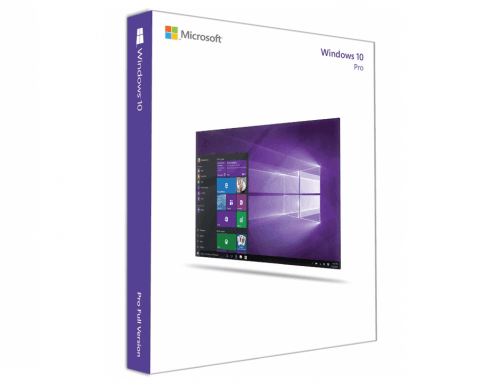 Microsoft Windows 10 Pro (OEM)