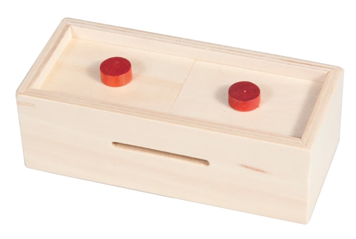 Trick Box Pusselask för pengar - Leksaksaffären -  Leksaksaffären
