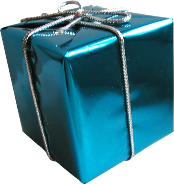 Party gift 4