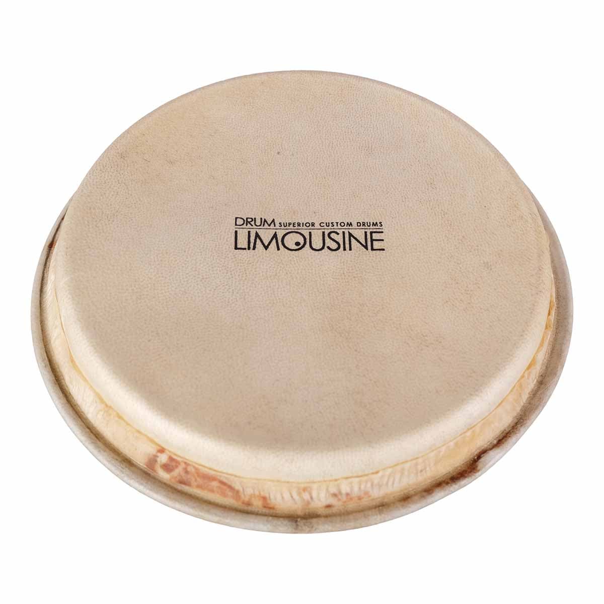Drum Limousine TD-HEAD5 skinn till Traditionell bongo, 5,5
