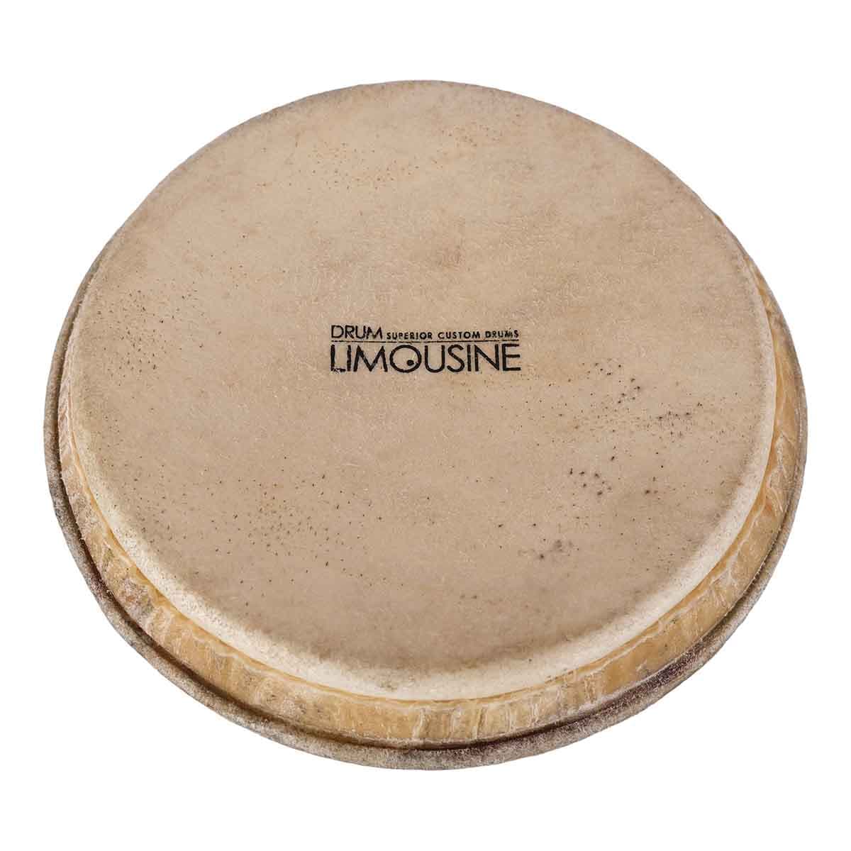Drum Limousine TDP-HEAD7 skinn till Traditionell Pro bongo, 7