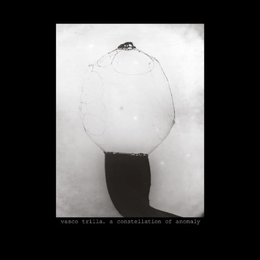 Trilla Vasco: A Constellation Of Anomaly