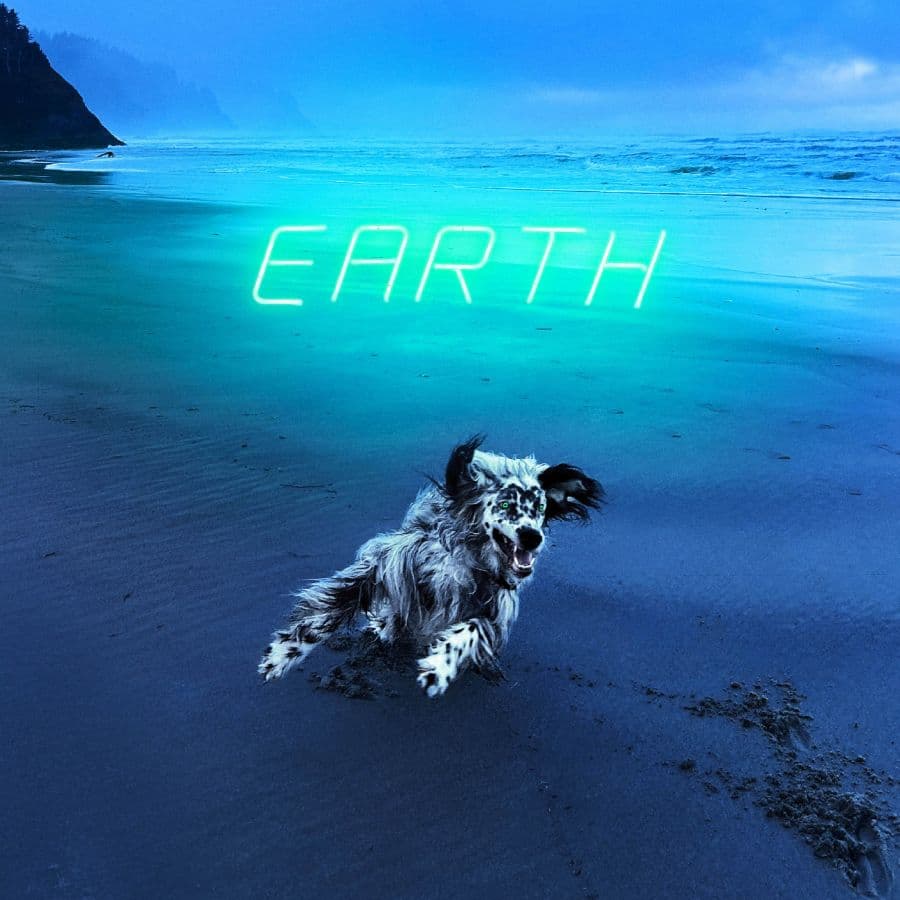 Motrik: Earth
