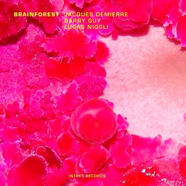 Demierre Jaques/Barry Guy: Brainforest