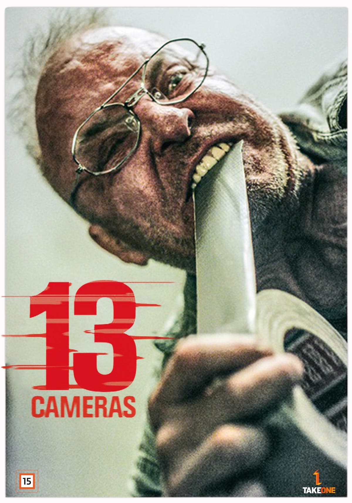 13 Cameras