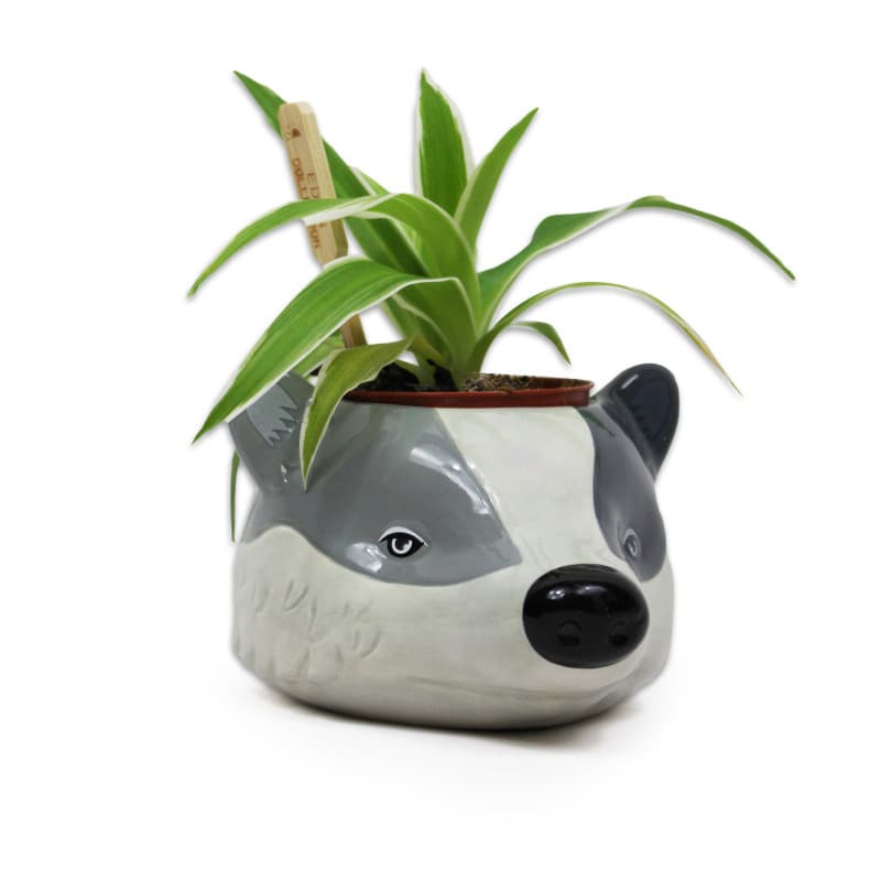 Hufflepuff: Plant Pot Shaped - Harry Potter (Hufflepuff)