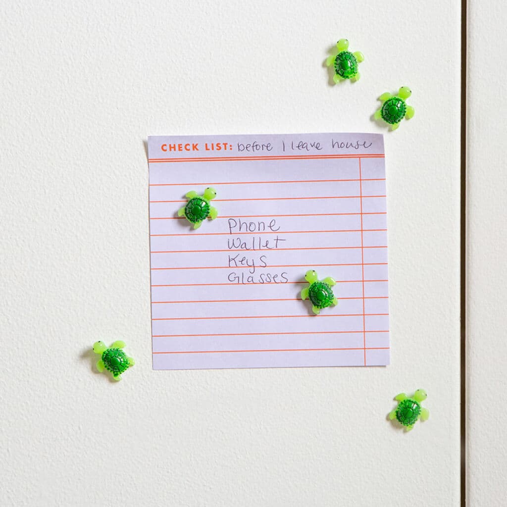 Kikkerland - Baby Turtle Magnets
