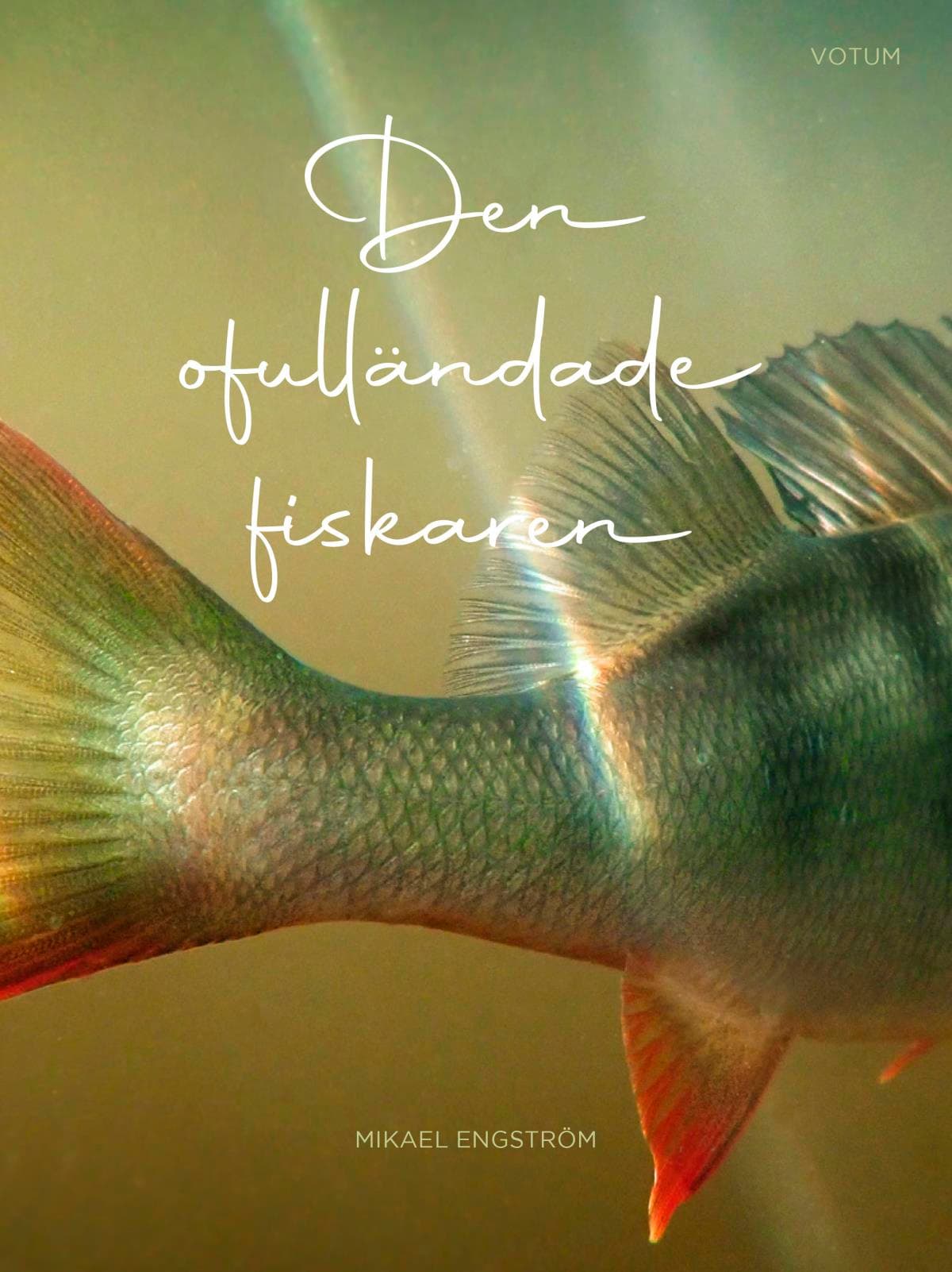 Den Ofulländade Fiskaren