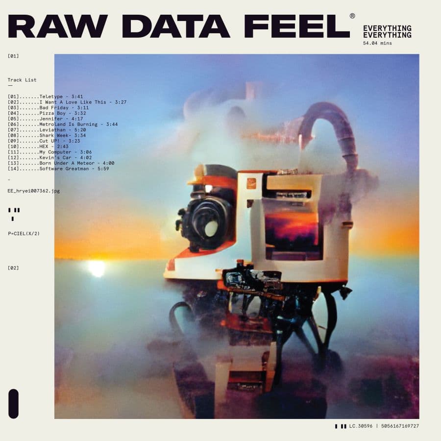Everything Everything: Raw Data Feel (Pink)