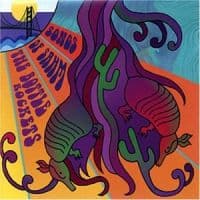 Bottle Rockets: Songs of Sahm