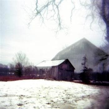 Horse Feathers: House With No Home