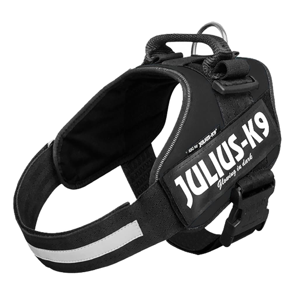 Sparset: JULIUS-K9 IDC®-Powersele, svart + JULIUS-K9® ulius-K9® gummerat koppel - Stl. 1 + 220 cm koppel (upp till 50 kg)