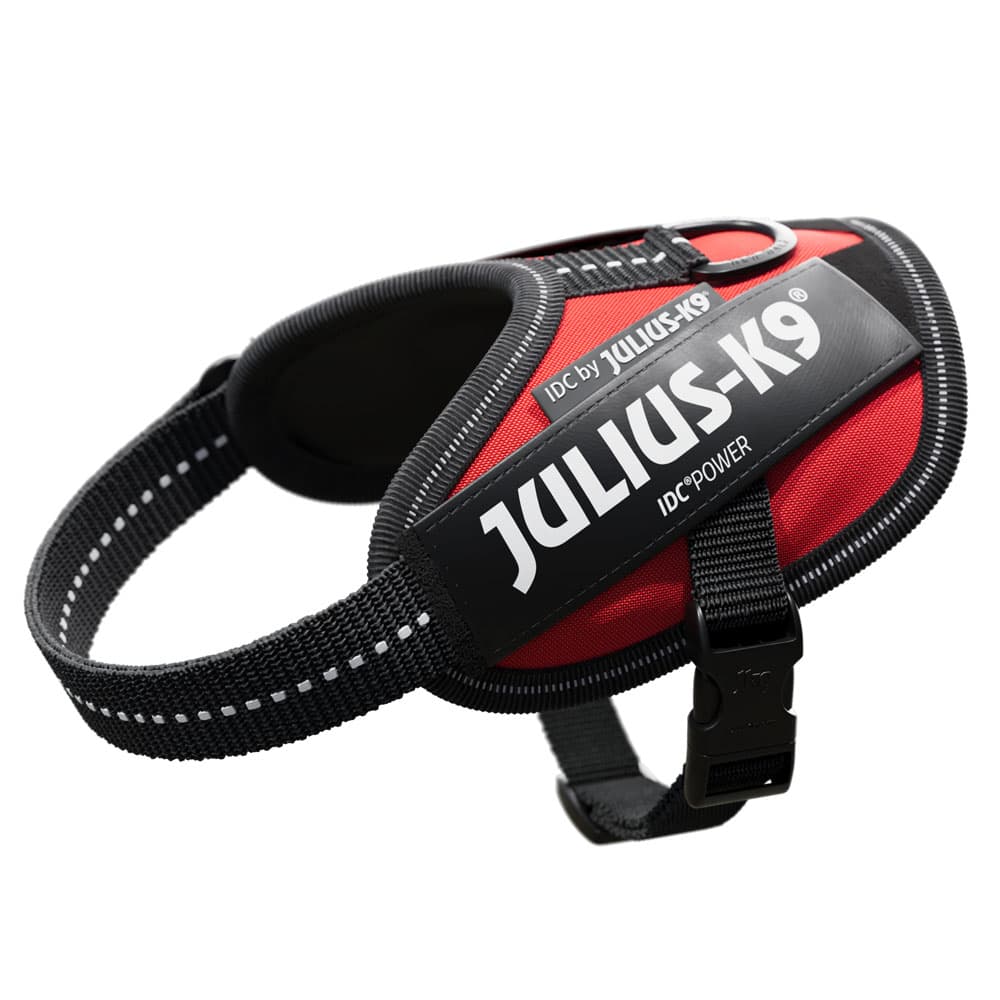 JULIUS-K9 IDC®-Powersele - röd - Stl. 2XS: bröstomfång 33 - 45 cm