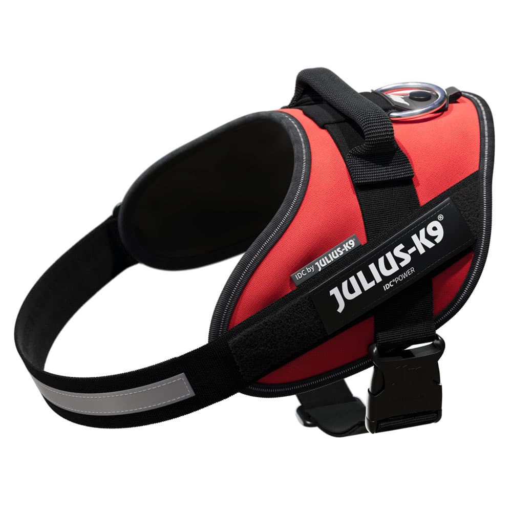 JULIUS-K9 IDC®-Powersele - röd - Storlek M: bröstomfång 58 - 76 cm