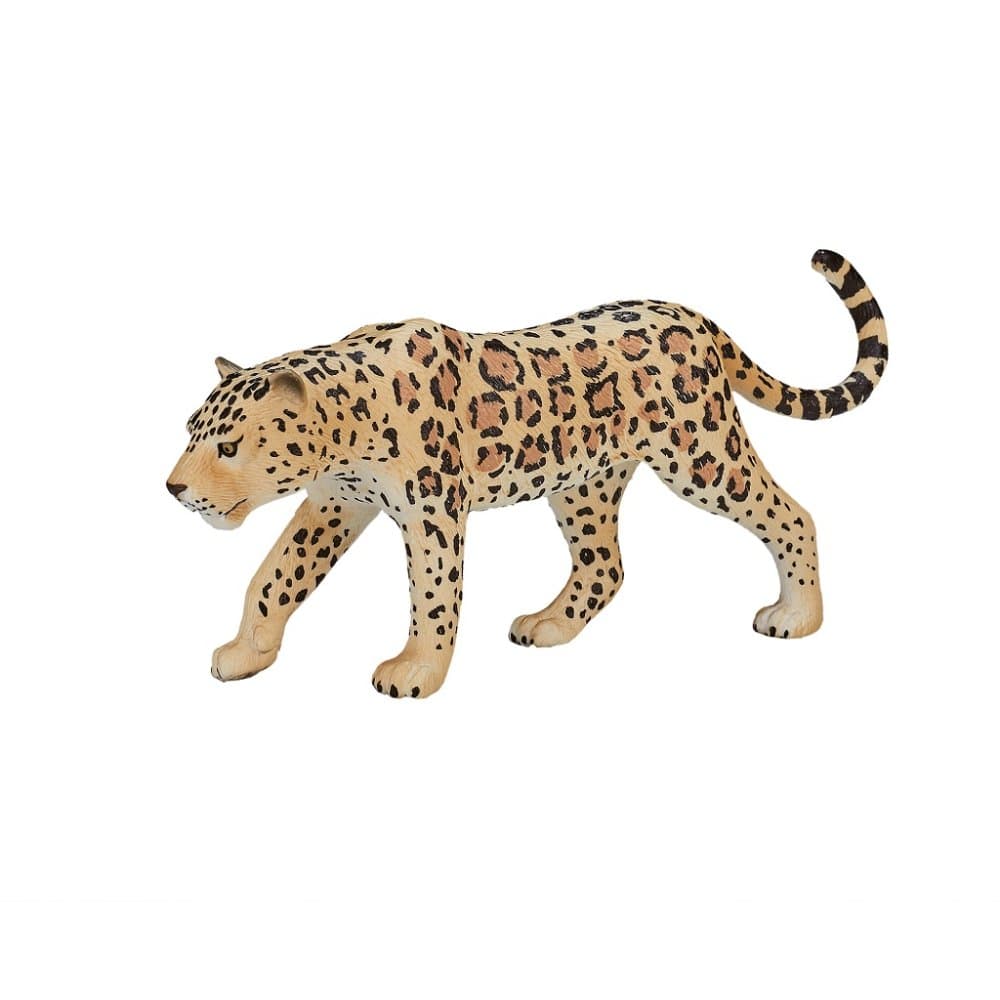Mojo Leopard Fläckig