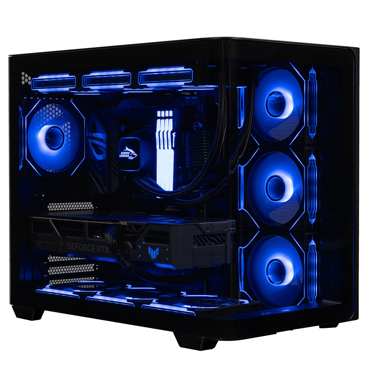 Shark RGBeast Speldator
