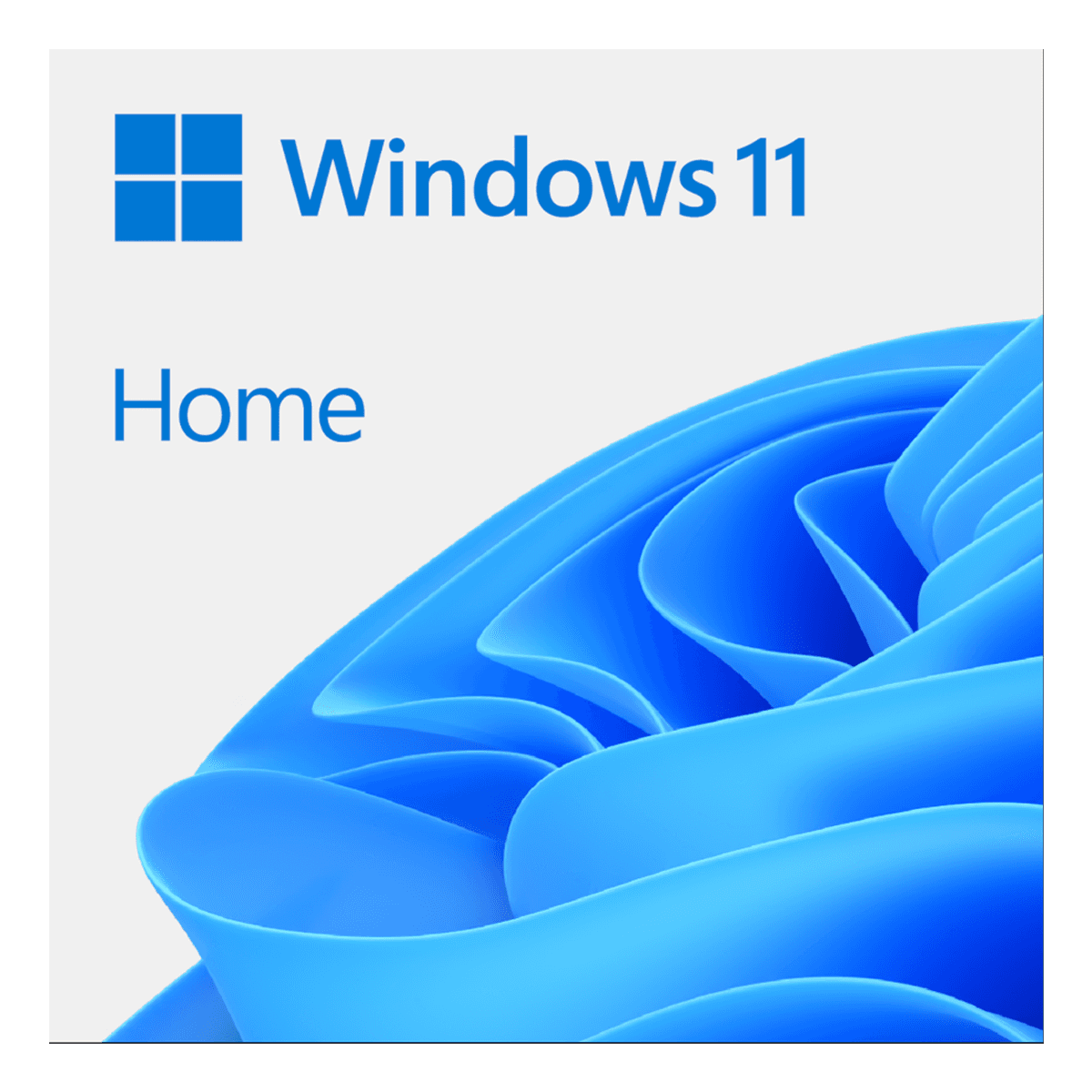 Windows 11 Home Fysisk