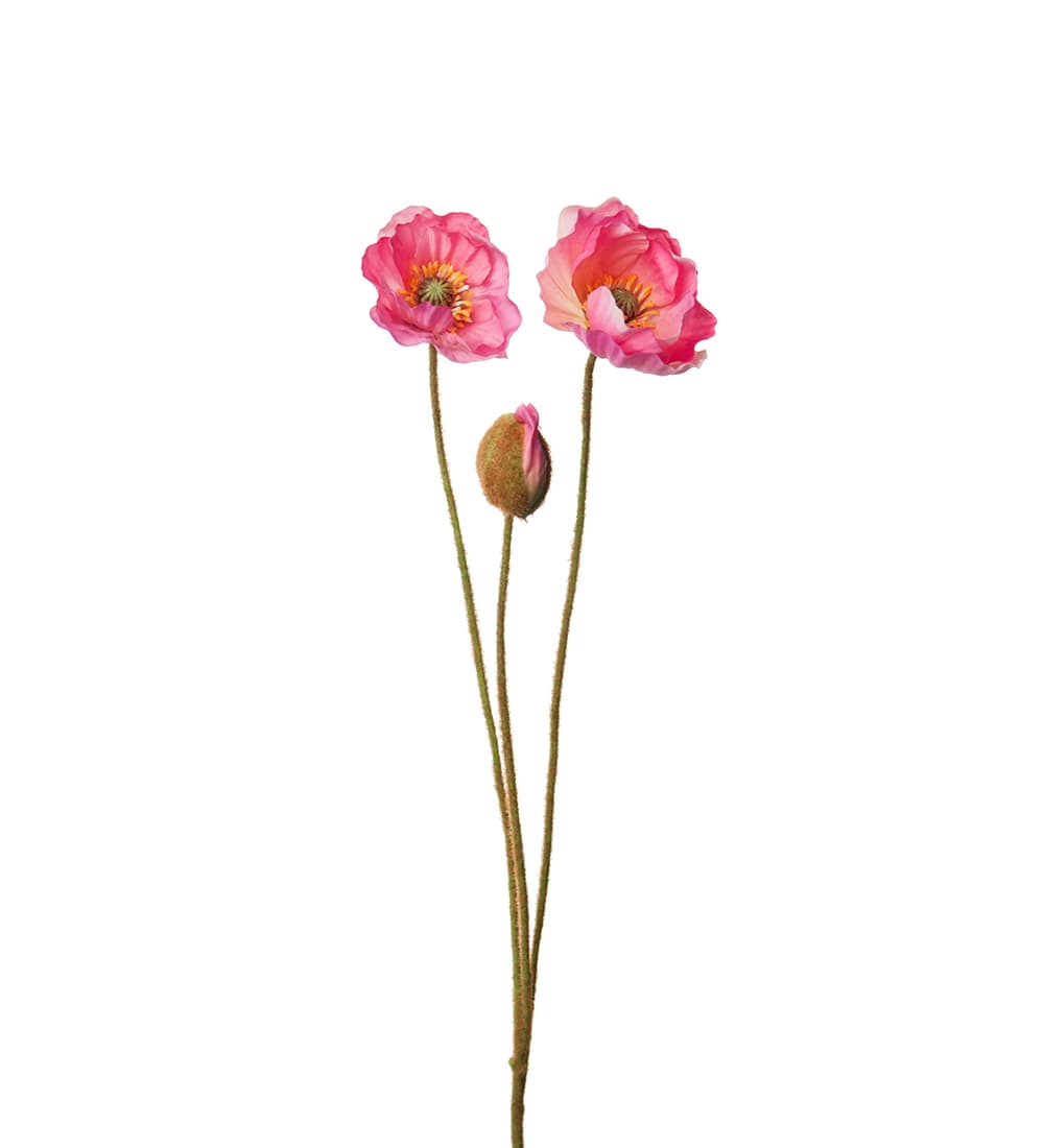 Vallmo Kvist Rosa 75cm