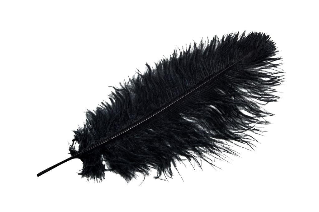 Strutsfjäder Svart 40-45cm