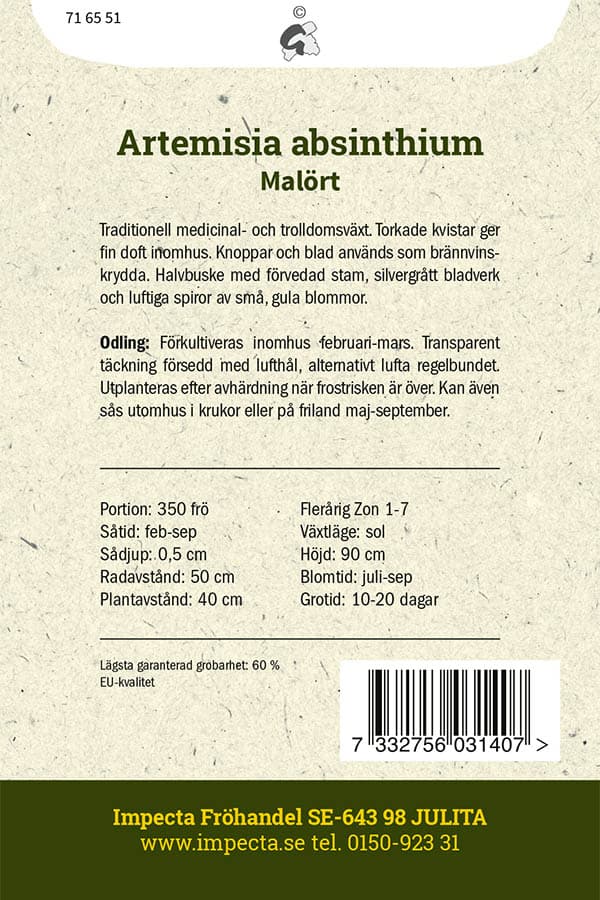 Malört - Artemisia absinthium view 2