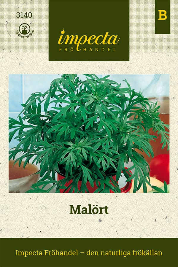 Malört - Artemisia absinthium