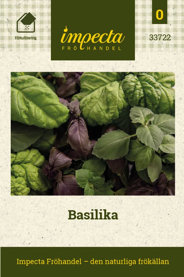 Basilika Mix - Ocimum basilicum