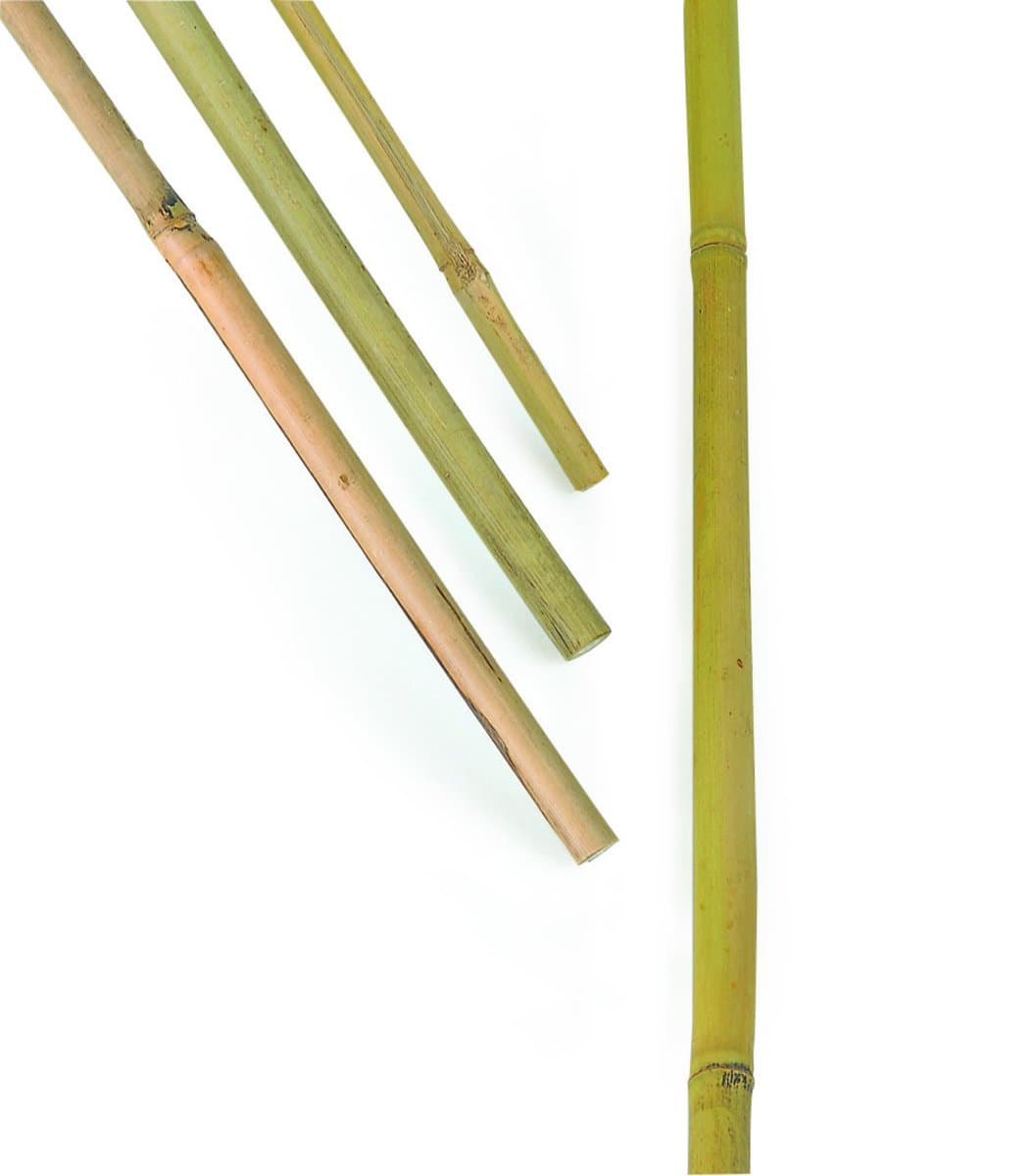 Bambukäpp 200cm 3-pack