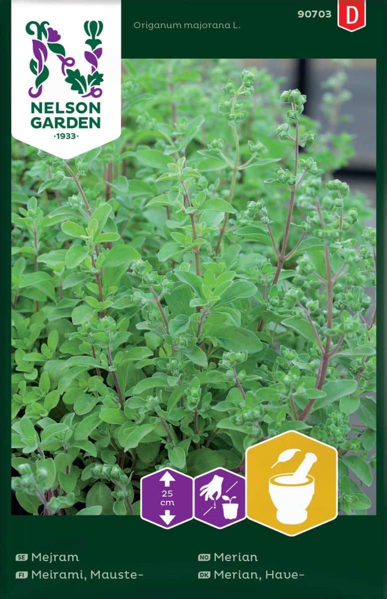 Mejram - Origanum majorana