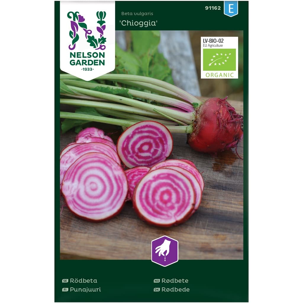 Rödbeta Chioggia, Ekologisk - Beta vulgaris Chioggia