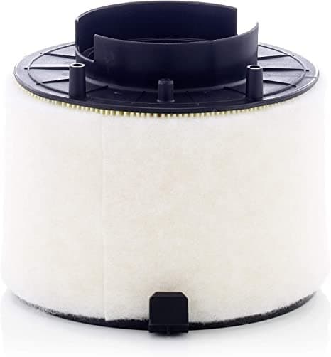 Luftfilter C 17 009 MANNFILTER