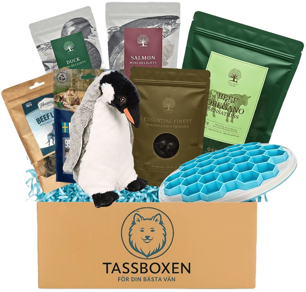 Tassboxen Present