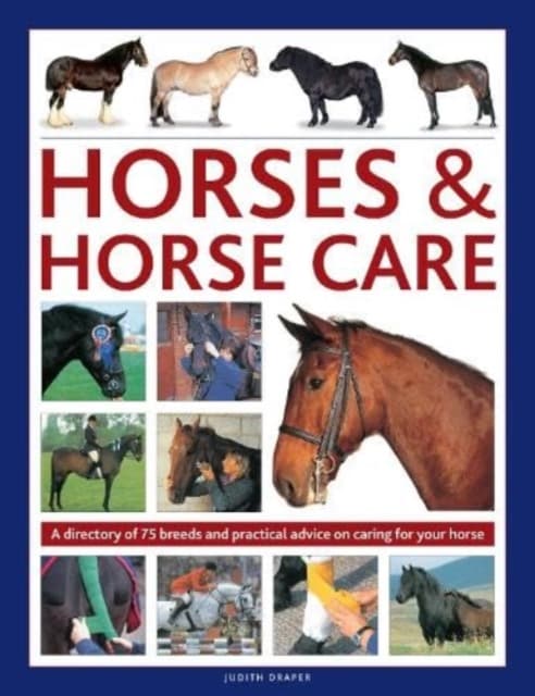 Horses &amp; Horse Care