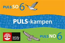 PULS-kampen NO och SO åk 6 : Kortlek