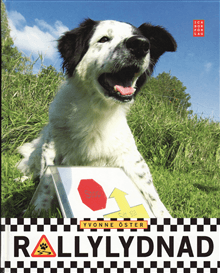 Rallylydnad