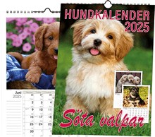 Hundkalender 2025