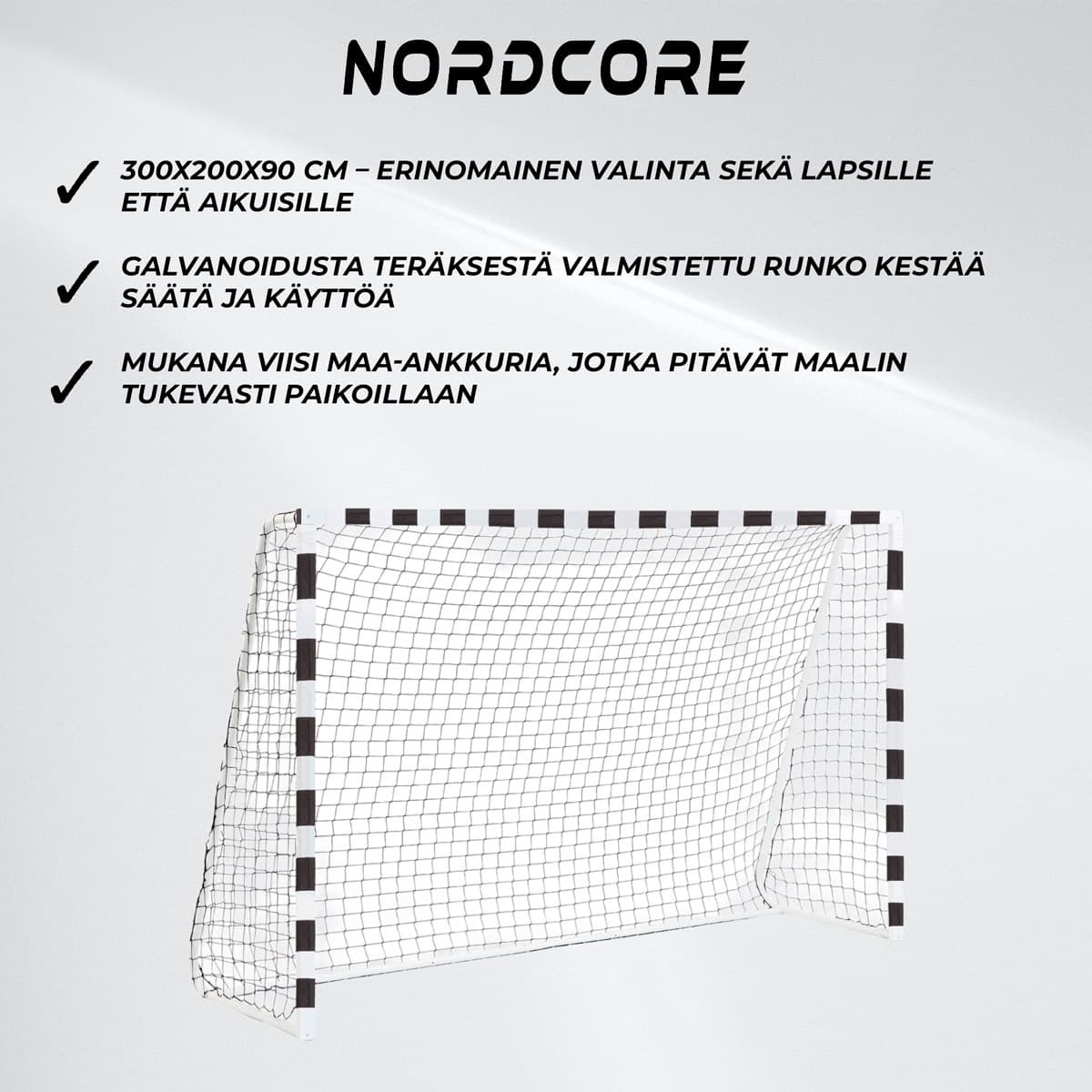 Nordcore Fotbollsmål Classic 300X200X90CM view 2