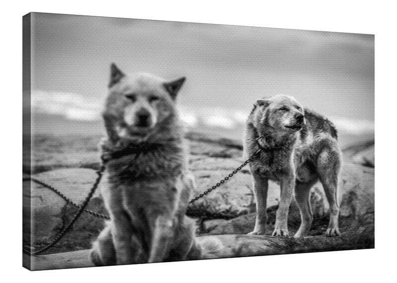 Brothers Canvastavla 70x100 cm - Slim